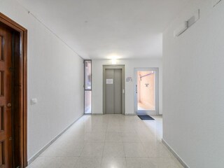 Apartment Roses  54