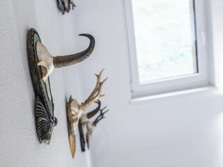 Chalet Wagrain Features 20