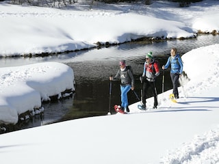 Chalet Hohentauern Umgebung 32