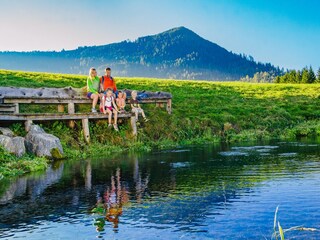 Vakantiepark St. Lambrecht Omgeving 28