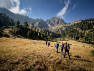 Parco vacanze Stolzalpe Ambiente 29