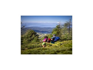 Vakantiepark Stolzalpe Omgeving 34