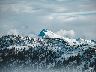 Apartamento Reith bei Kitzbühel  11