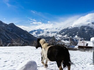 Appartement Kauns  14