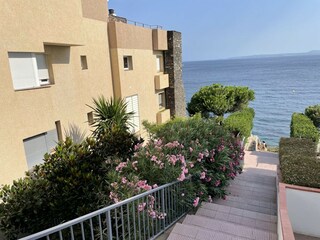 Appartement Roses Environnement 35