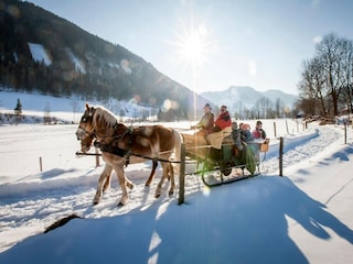 Parc de vacances Stolzalpe Environnement 30