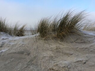 Appartement Norddeich Environnement 17