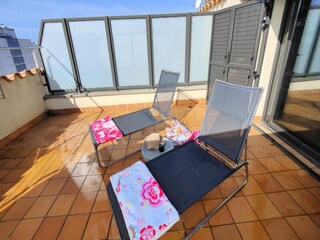 Apartment Roses  8