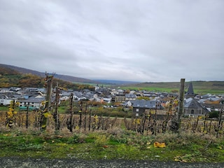 Appartement Veldenz Environnement 29