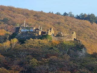 Appartement Veldenz Environnement 30