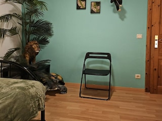 Appartement Veldenz Kenmerken 5