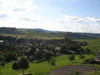 Appartement Veldenz Omgeving 31