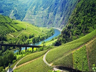 Apartment Veldenz Umgebung 21