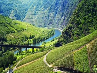 Appartement Veldenz Omgeving 21