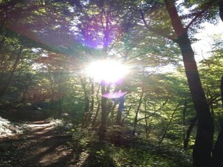 Apartment Veldenz Umgebung 23