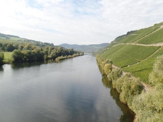 Appartement Veldenz Omgeving 24