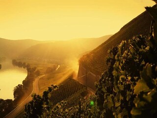 Appartement Veldenz Environnement 27