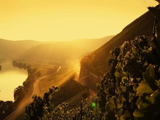 Appartement Veldenz Omgeving 27