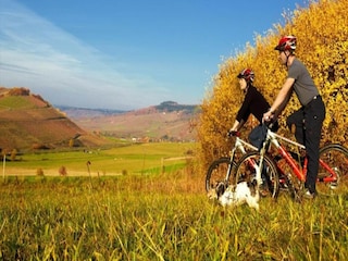 Appartement Veldenz Environnement 33