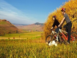 Appartement Veldenz Omgeving 33