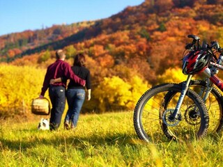 Appartamento Veldenz Ambiente 35