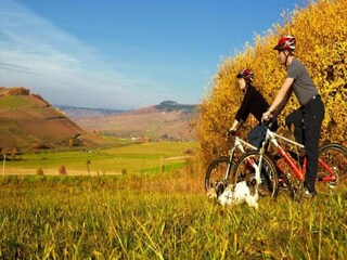 Apartamento Veldenz Entorno 32