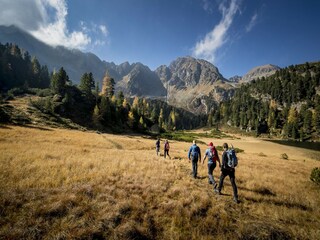 Appartamento Pusterwald  8