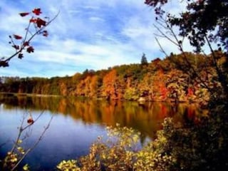 Casa per le vacanze Jesenice u Rakovnika Ambiente 27
