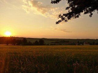 Ferienhaus Jesenice u Rakovnika Umgebung 23