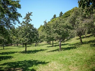 Casa per le vacanze Jesenice u Rakovnika Ambiente 20