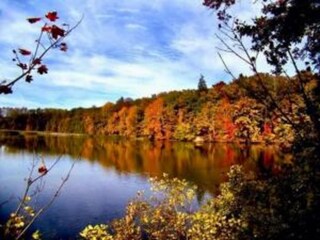 Casa de vacaciones Jesenice u Rakovnika Entorno 25
