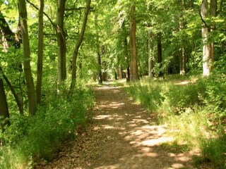 Ferienhaus Jesenice u Rakovnika Umgebung 25