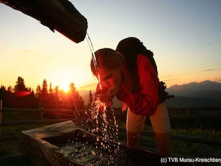 Ferienpark St. Lorenzen ob Murau  24