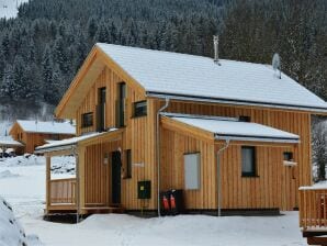 Parc de vacances Chalet luxueux avec spa de nage - St. Lorenzen ob Murau - image1