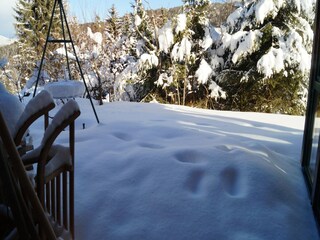 Chalet St. Lorenzen ob Murau Buitenaudio-opname 3