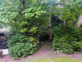 Holiday house Porsheden Outdoor Recording 17