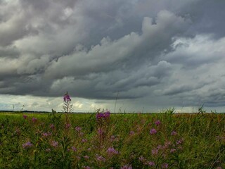 Vakantiehuis Porsheden  17