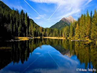 Parc de vacances St. Lorenzen ob Murau Environnement 26