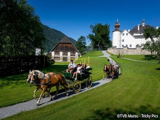 Vakantiepark St. Lorenzen ob Murau Omgeving 22