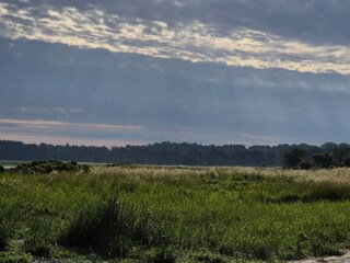 Holiday house Jægerspris  50