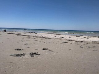 Vakantiehuis Jægerspris  13