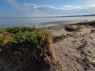 Ferienhaus Jægerspris  46