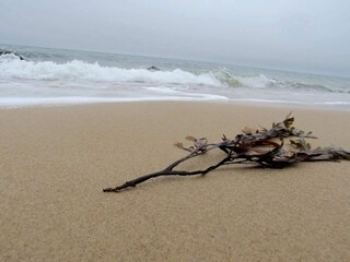 Casa per le vacanze Udsholt Strand  41