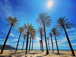Apartment Empuriabrava Environment 29