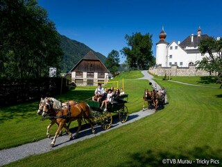 Vakantiepark St. Lorenzen ob Murau Omgeving 24
