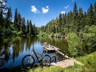 Vakantiepark St. Lorenzen ob Murau Omgeving 29