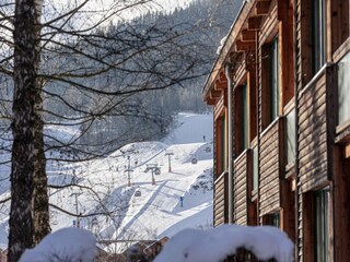 Vakantiepark St. Lorenzen ob Murau Buitenaudio-opname 9