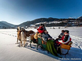 Parc de vacances St. Lorenzen ob Murau Environnement 32