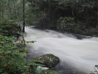 Vakantiehuis Welt  5