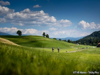 Parc de vacances St. Lorenzen ob Murau Environnement 23